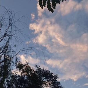 亚洲无码乱伦一区
